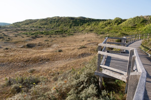 Merlimont Plage, sentier de découverte de la dune parabolique