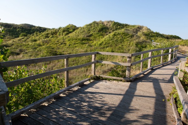 Merlimont Plage, sentier de découverte de la dune parabolique