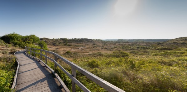 Merlimont Plage, sentier de découverte de la dune parabolique