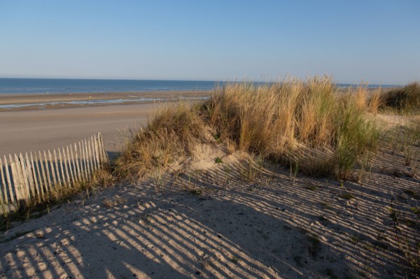 Merlimont Plage, dune on the seafront
