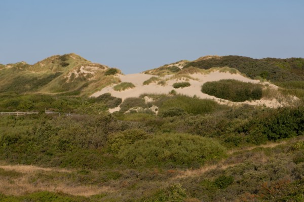 Merlimont Plage, sentier de découverte de la dune parabolique