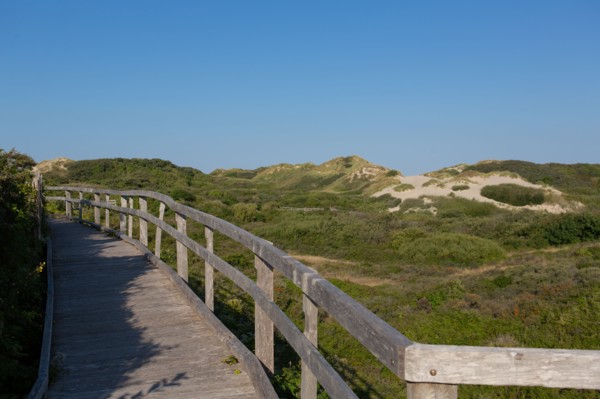 Merlimont Plage, sentier de découverte de la dune parabolique