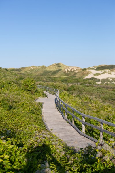 Merlimont Plage, sentier de découverte de la dune parabolique