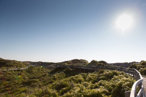 Merlimont Plage, sentier de découverte de la dune parabolique