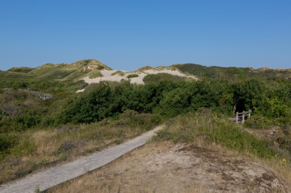 Merlimont Plage, sentier de découverte de la dune parabolique