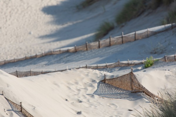 Merlimont Plage, Stella-Merlimont dunes
