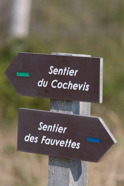 Merlimont Plage, dunes de Stella-Merlimont