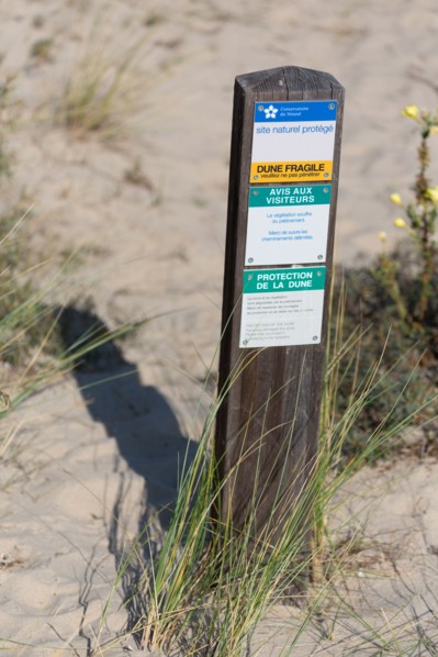 Merlimont Plage, dunes de Stella-Merlimont
