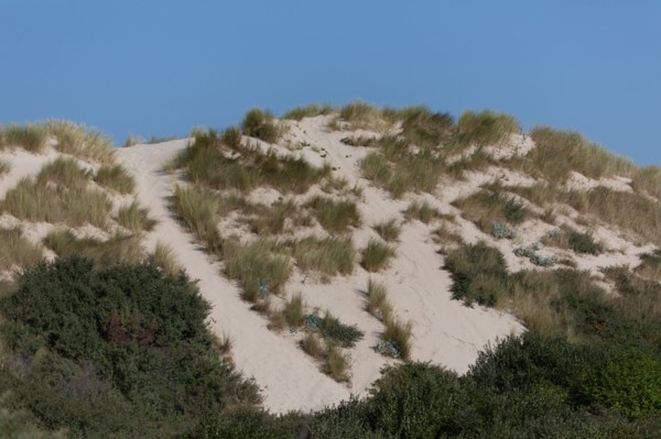 Merlimont Plage, dunes de Stella-Merlimont