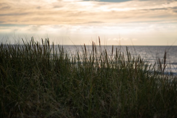 Blonville-sur-Mer (Calvados)