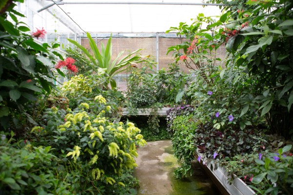 Le Havre, hanging gardens, Fort de Sainte Adresse