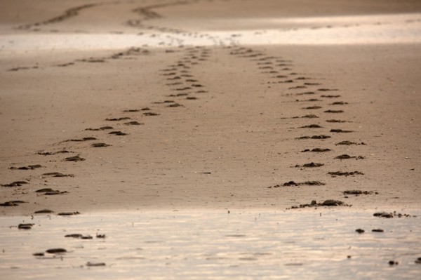 Deauville, beach