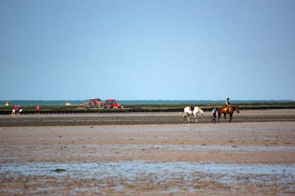 Côte de Nacre, plages du débarquement
