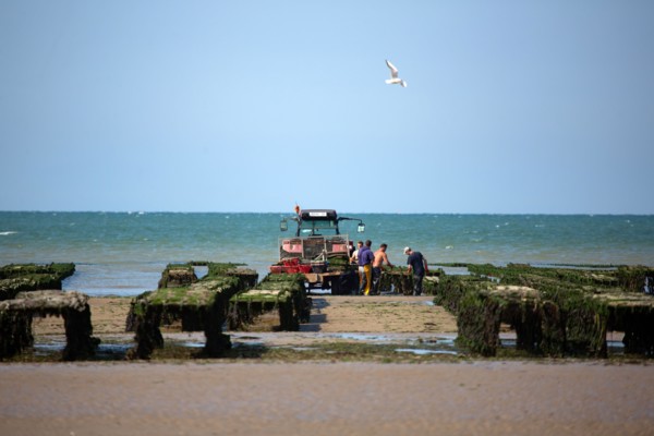 Côte de Nacre, plages du débarquement