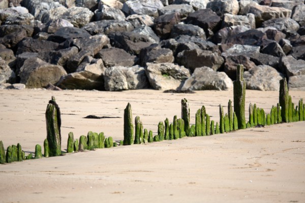 Côte de nacre, landing beaches