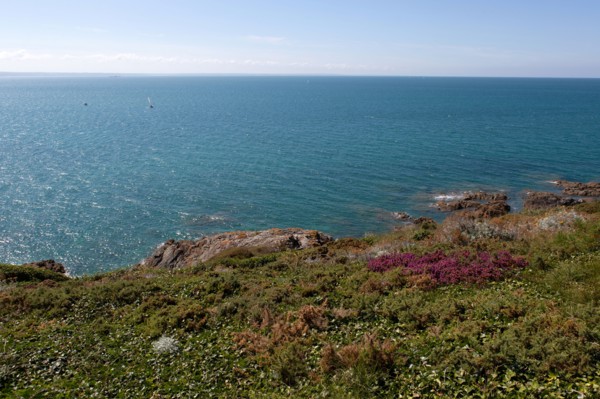 Pleneuf Val André, coastal path