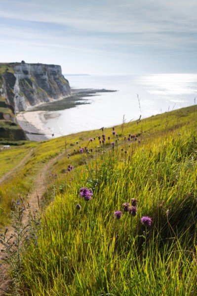 Saint-Martin-en-Campagne, Seine Maritime