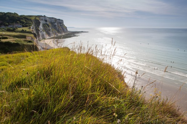 Saint-Martin-en-Campagne, Seine Maritime