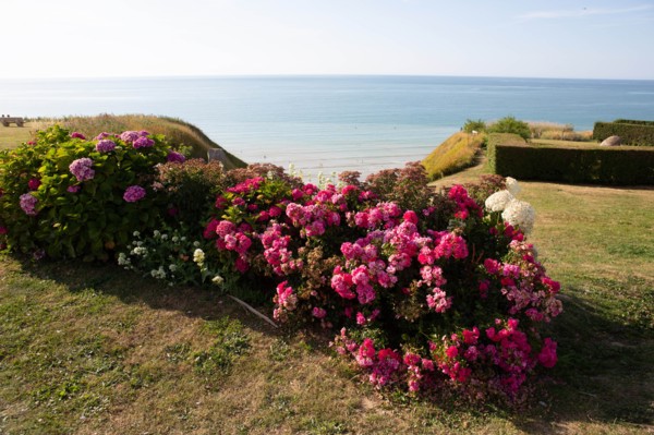 Saint-Martin-en-Campagne, Seine Maritime