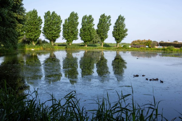 Jardin des personnalités in Honfleur