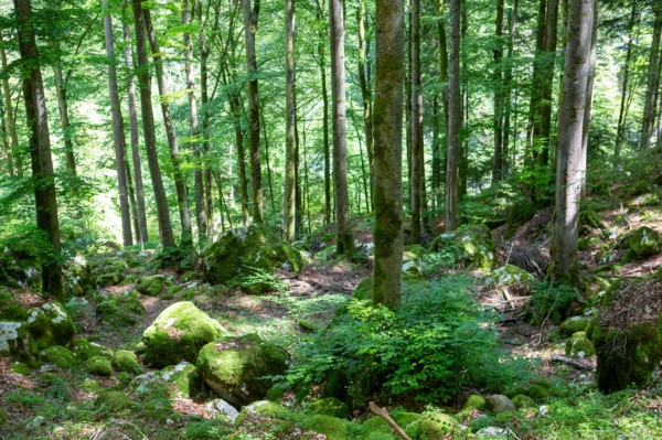La Vernaz, Haute-Savoie, site des grottes du Pont du Diable