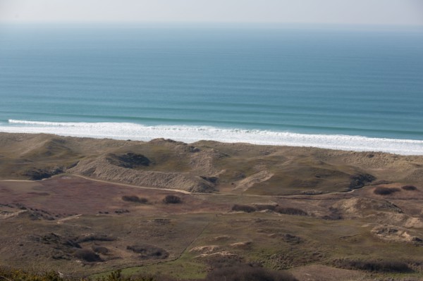Sand dunes of Biville (Manche)
