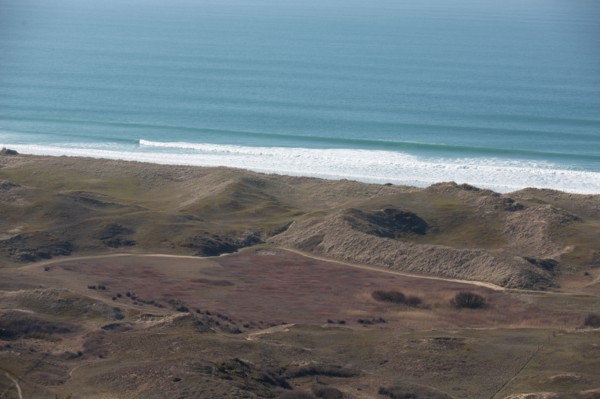 Sand dunes of Biville (Manche)