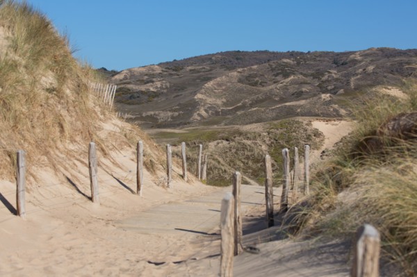 Sand dunes of Biville (Manche)