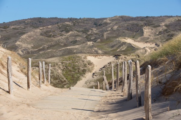 Sand dunes of Biville (Manche)