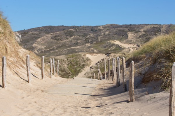 Sand dunes of Biville (Manche)