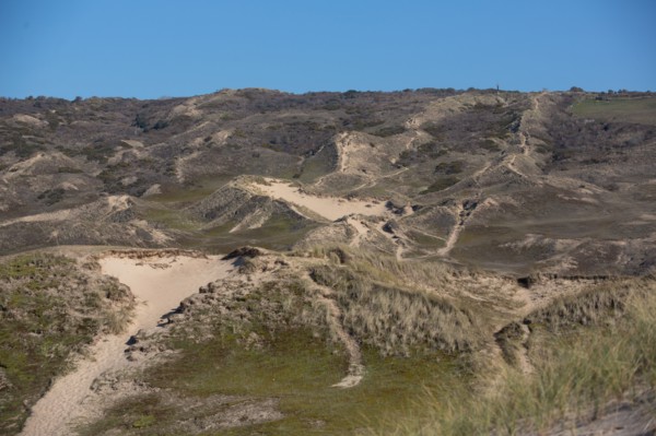 Sand dunes of Biville (Manche)