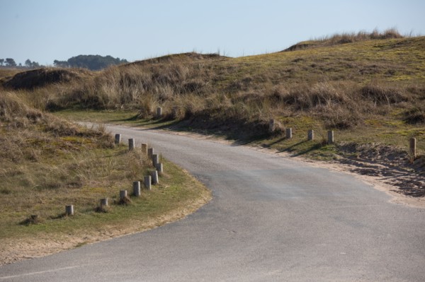 Sand dunes of Biville (Manche)