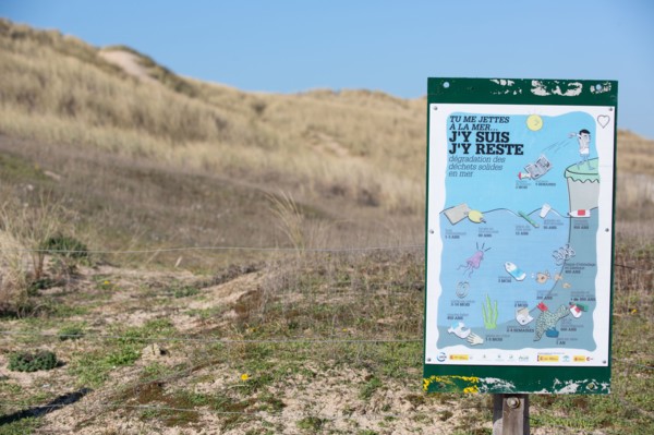 Sand dunes of Biville (Manche)