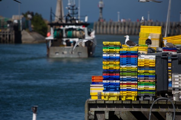 Courseulles-sur-Mer (Calvados)