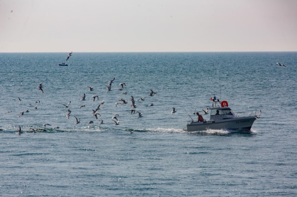 Fécamp (Seine-Maritime)
