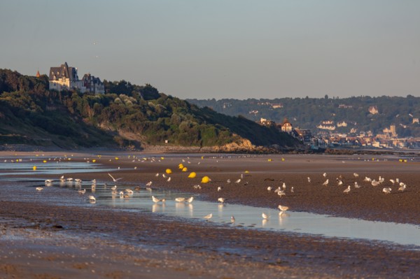 Deauville (Calvados)