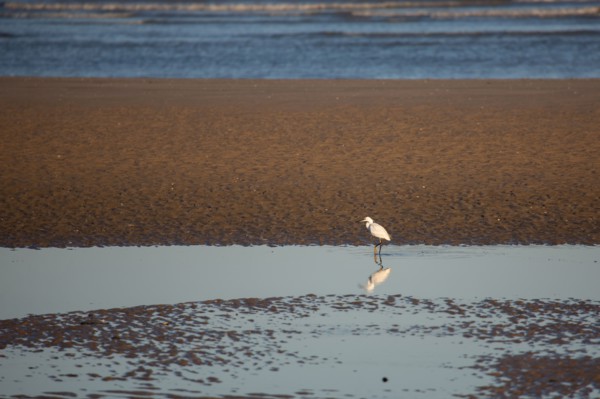 Blonville-sur-Mer (Calvados)