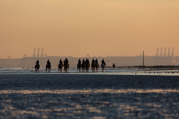 Deauville (Calvados)