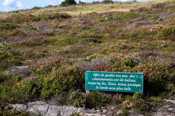 Cap d'Erquy (Côtes d'Armor)