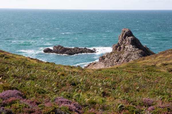 Cap d'Erquy (Côtes d'Armor)