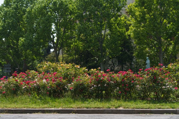 Paris starts re-opening from lockdown, May 2020