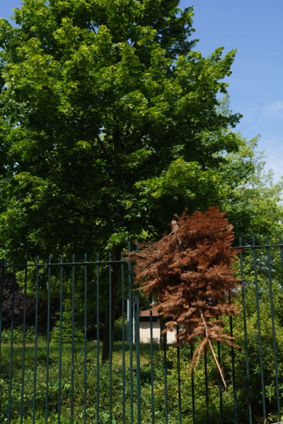 Paris, la semaine du déconfinement, mai 2020