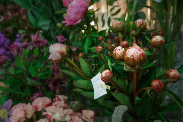 Paris, flower shop on rue d'Alésia
