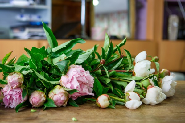 Paris, flower shop on rue d'Alésia
