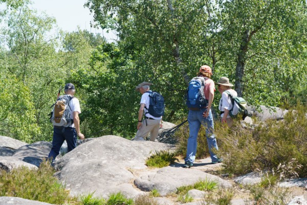 Forest of Fontainebleau