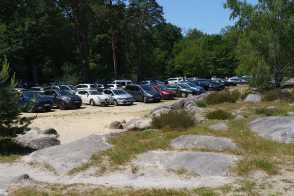 Forest of Fontainebleau