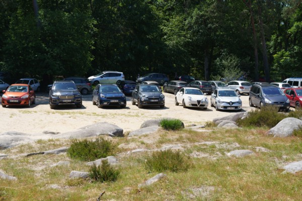 Forest of Fontainebleau