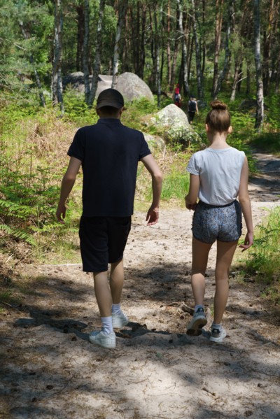 Forest of Fontainebleau