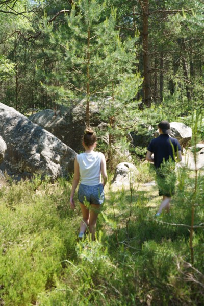 Forest of Fontainebleau