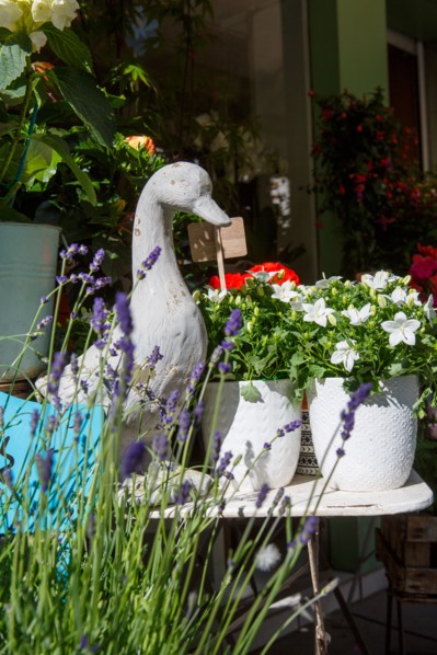 Paris, flower shop on rue d'Alésia